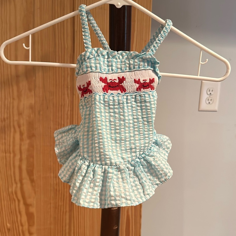 The Bailey Boys blue and white gingham swimsuit with crabs